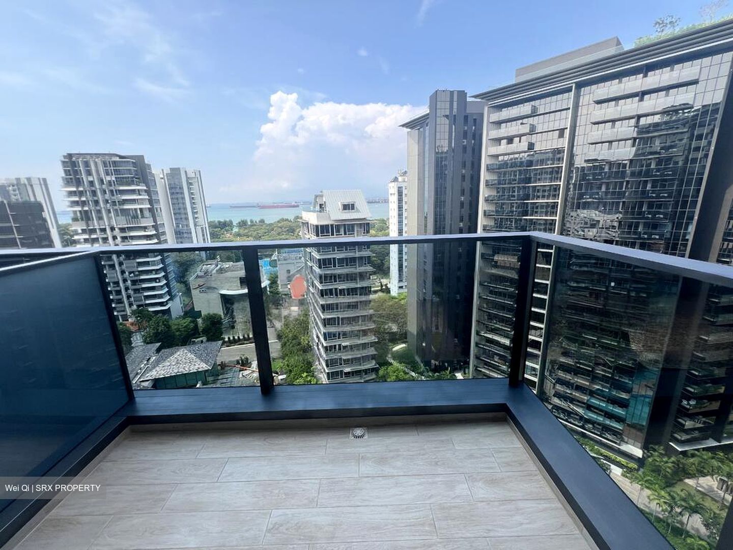 Amber Park (D15), Condominium #462869461